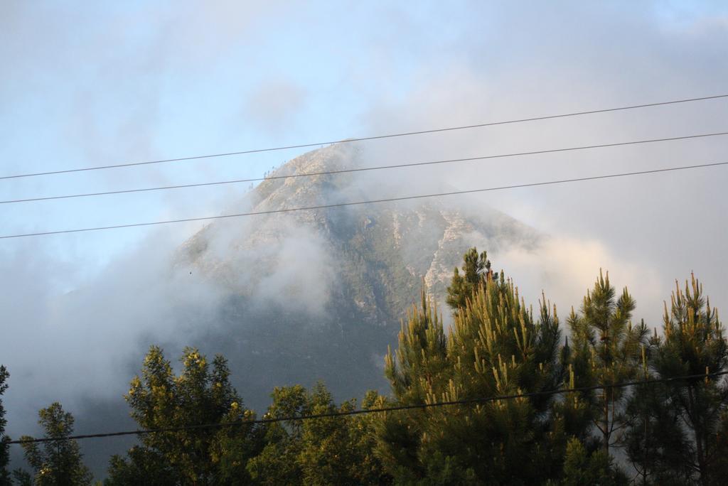Fijnbosch Cottage And Camping Stormsrivier Bilik gambar