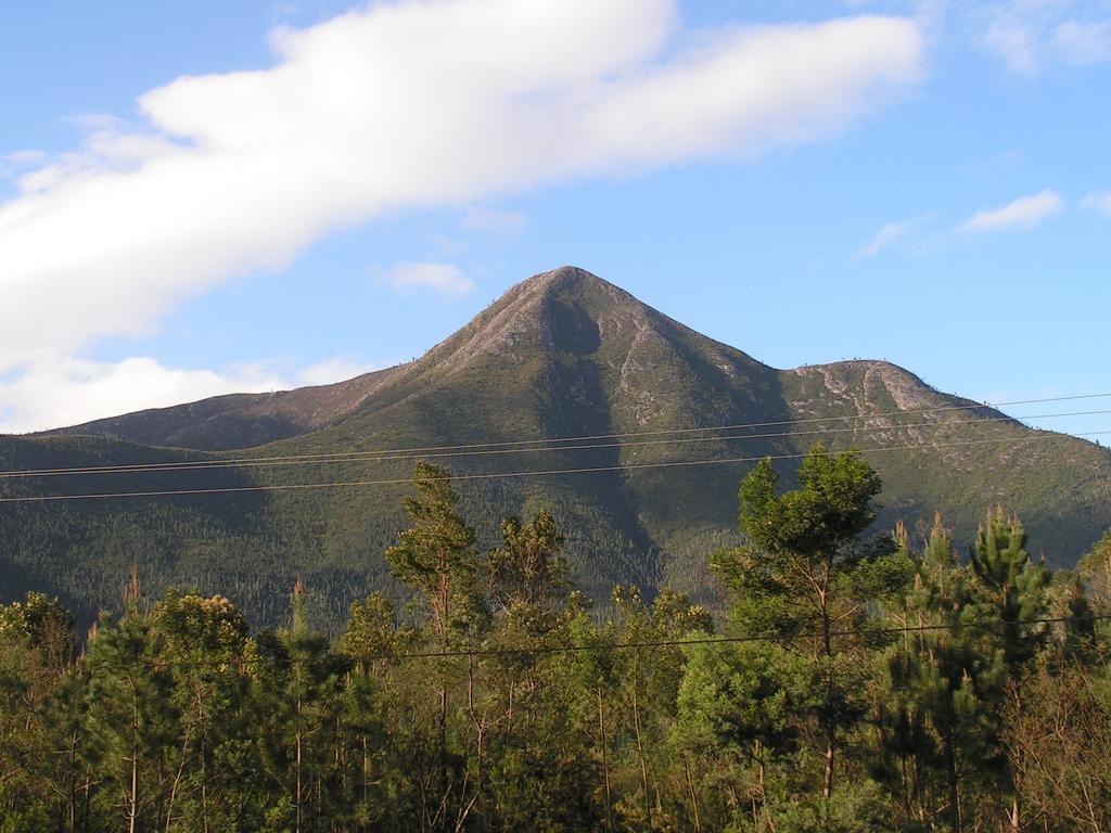 Fijnbosch Cottage And Camping Stormsrivier Bilik gambar