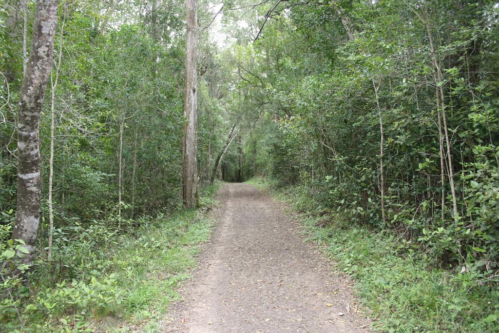 Fijnbosch Cottage And Camping Stormsrivier Bilik gambar